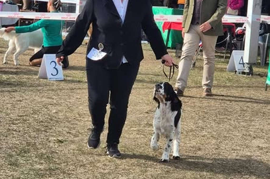 Komárom 3x CACIB